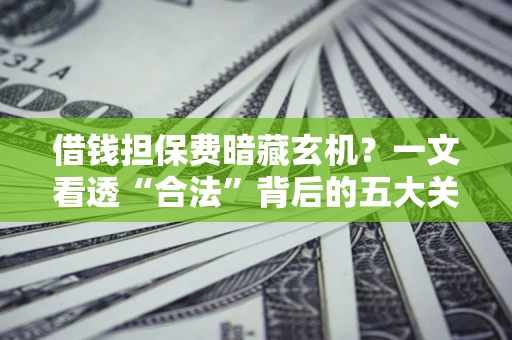 北京借钱担保费暗藏玄机？一文看透“合法”背后的五大关键陷阱