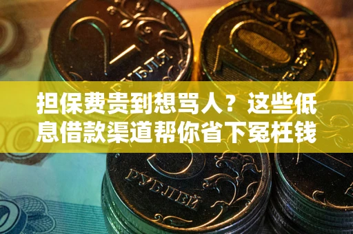 北京担保费贵到想骂人？这些低息借款渠道帮你省下冤枉钱