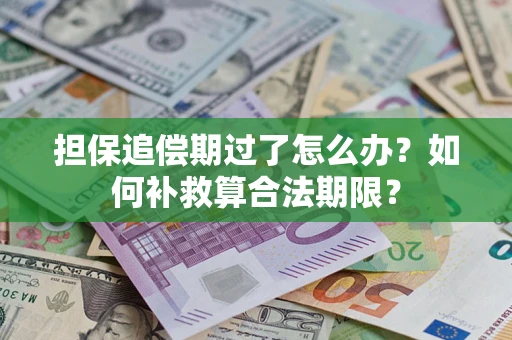 北京担保追偿期过了怎么办？如何补救算合法期限？