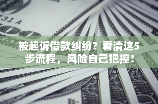 北京被起诉借款纠纷？看清这5步流程，风险自己把控！